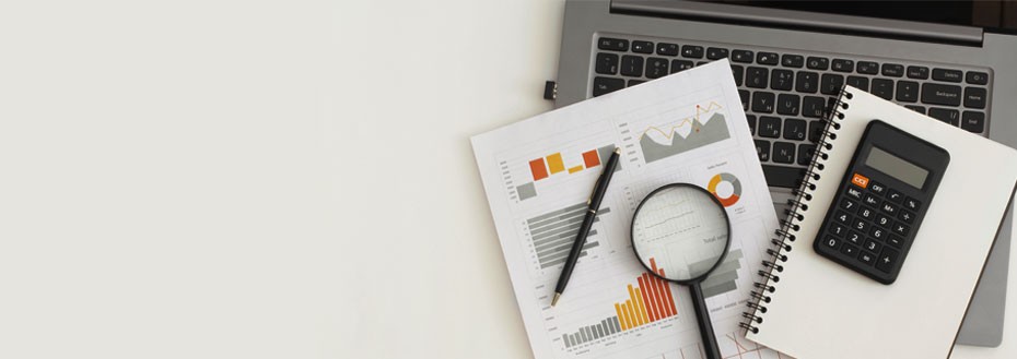 Forensic Accounting Services