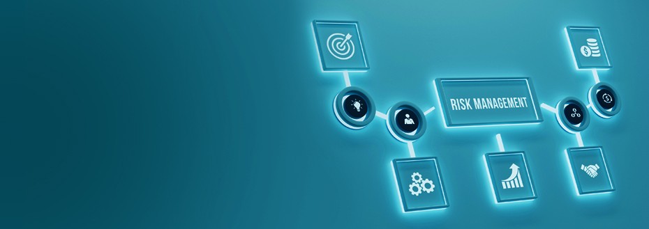 Model Risk Management Services