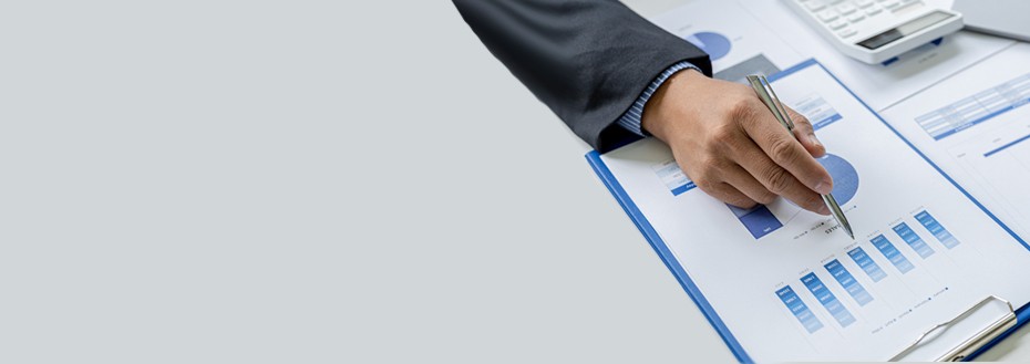 Payroll Data Analytics Services