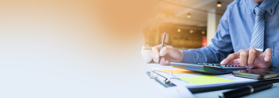 Post Merger Integration Services