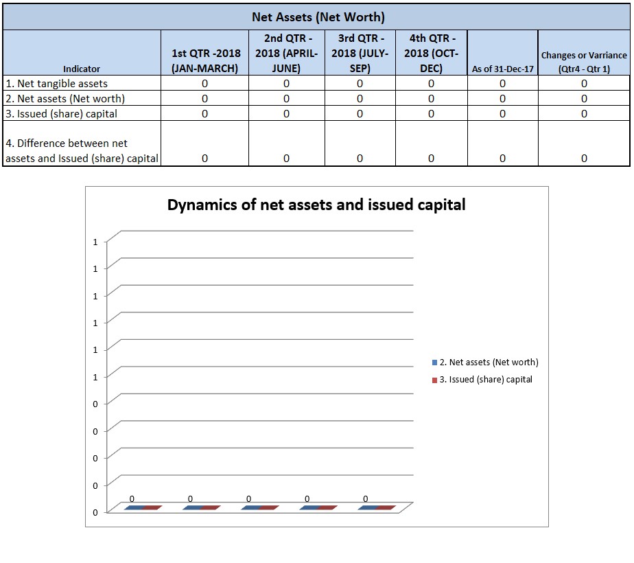 Net Assets (Net Worth)
