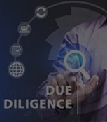 Due Diligence Services