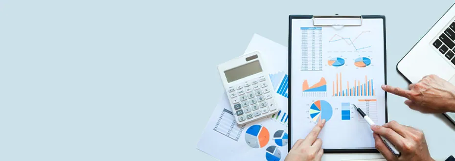 Virtual Accounting Services