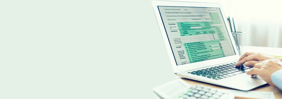 Virtual Tax Preparation Services