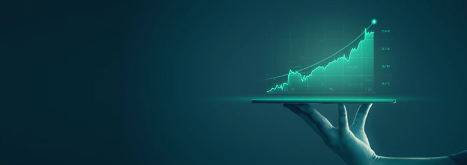 Wealth Management Services