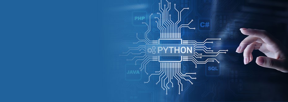 Hire Python Developers