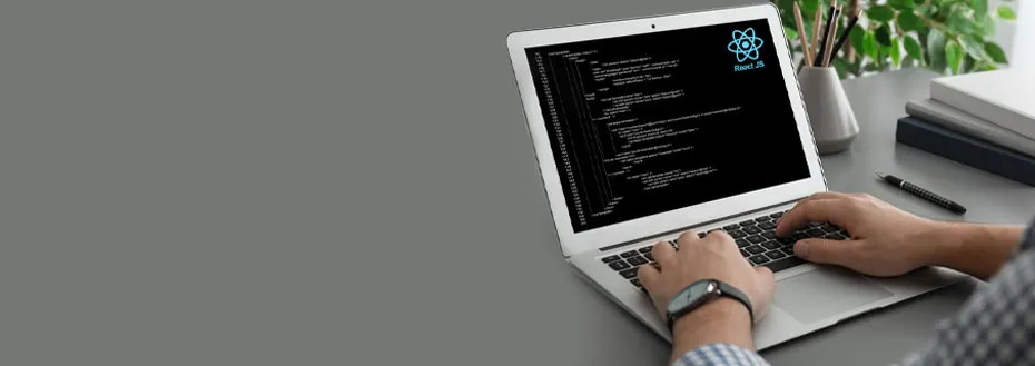 Hire ReactJS Developer