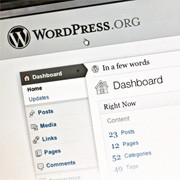 IT Staffing for WordPress Developers IT Staffing for WordPress Developers