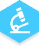 Research & Analysis Services