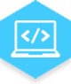 Software Services