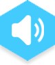Translation Services