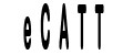 eCATT eCATT