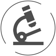 Research & Analysis Services