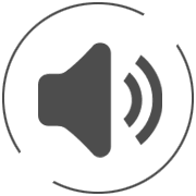 Transcription Services
