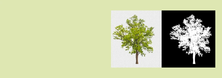 Clipping Path Service