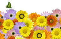 color variation image