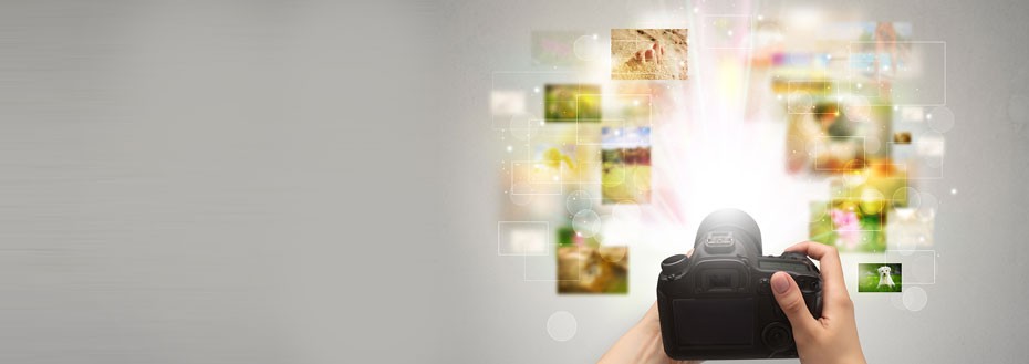 Focus Stacking Services