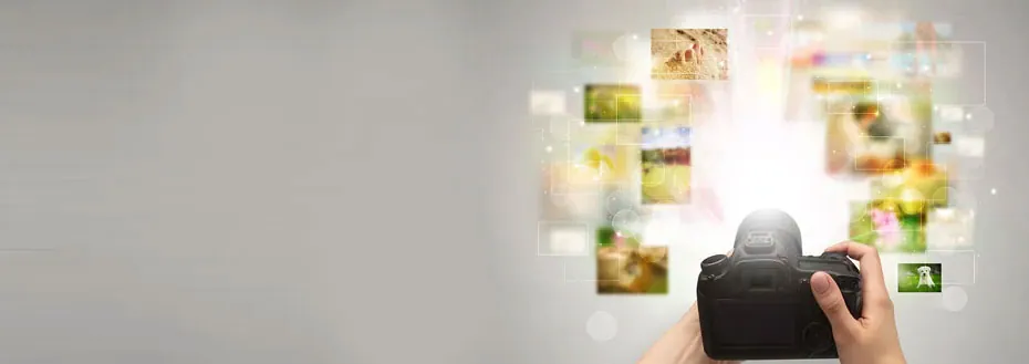 Focus Stacking Services