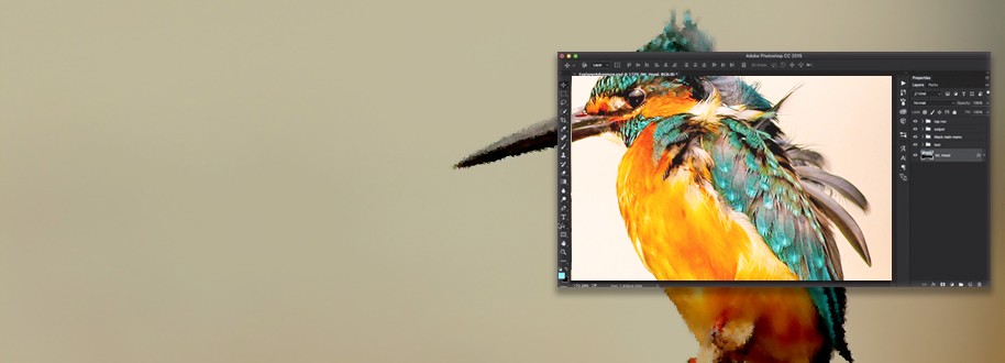 Outsource Photoshop Enhancement Services