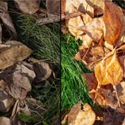 Photo Correction Services Photo Correction Services