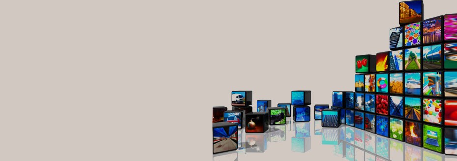 Photo Culling Services