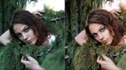 Adjusting Portrait Brightness and Contrast Adjusting Portrait Brightness and Contrast