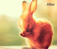 Color Masking After