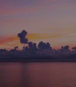Density Color Correction Services