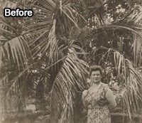 Digital Photo Enhancement Before
