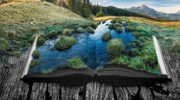 Focus Stacking for Landscapes