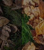 Photo Correction Services