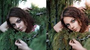 Portrait Density Correction