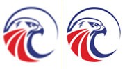 Vector Logo Conversion
