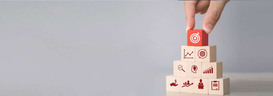 New Business Setup Services