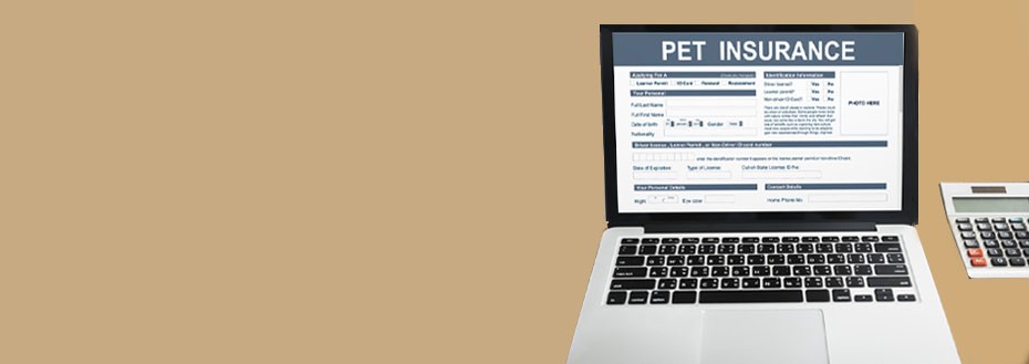 Pet Insurance Lead Generation Services