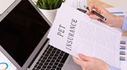 Pet Insurance Policy Support
