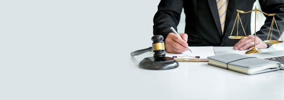 Legal Document Review Services