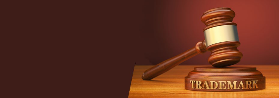 Trademark Consultation Services
