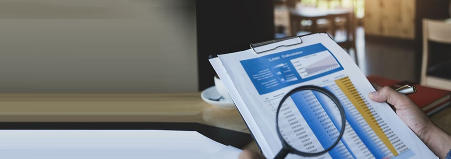 Whole Loan Purchase Review Support Services