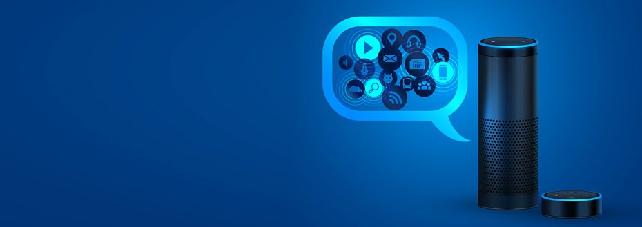 Alexa Skill Development Services