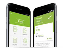Mobile App Development to Facilitate Fund Transfer and Payment