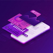 Case Study on Application Development for a Risk Management Firm