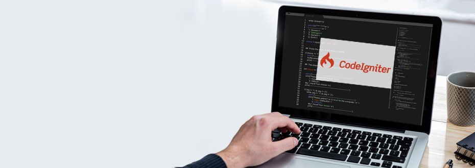 CodeIgniter Development Services