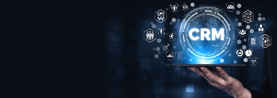 CRM Consulting Services