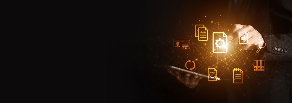 Customer Information System (CIS) Services