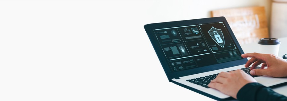 Cyber Security Assessment Services