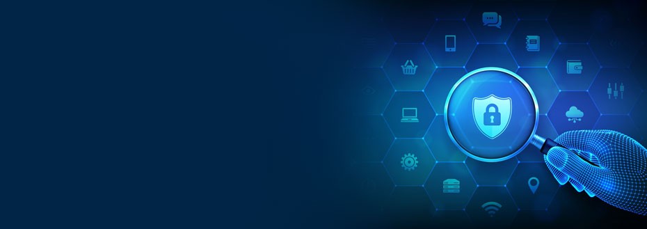 Cyber Security Testing Services