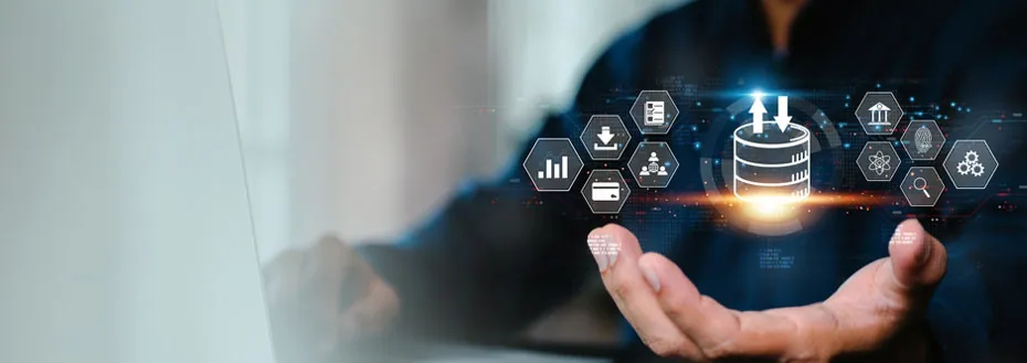 Database Management Services