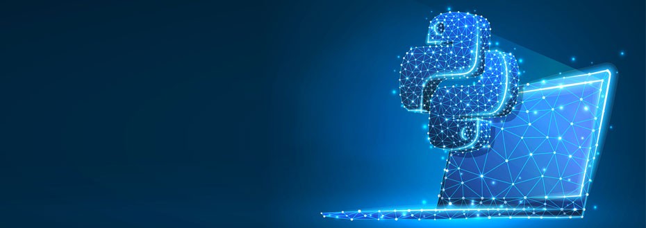 Django Web Development Services