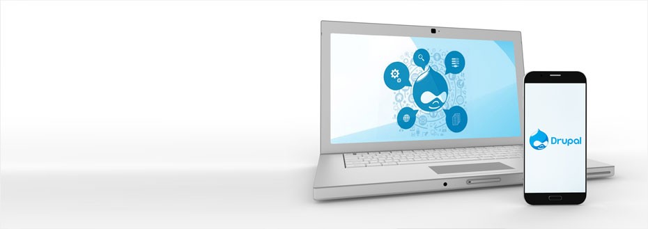 Drupal Development Services